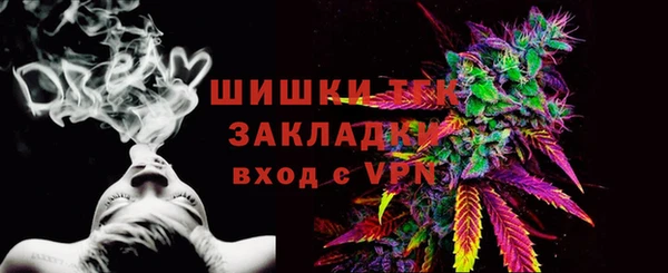 СК Волоколамск
