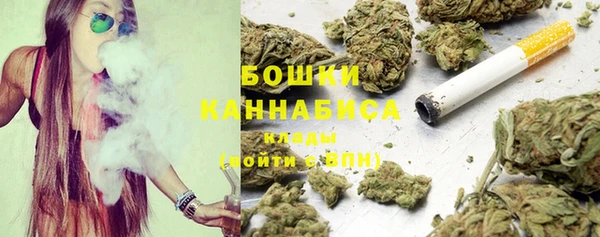 СК Волоколамск
