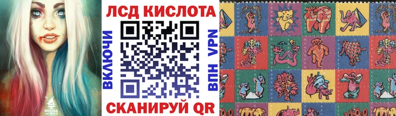 блэк спрут ссылки  Карачаевск  Марки N-bome 1500мкг 