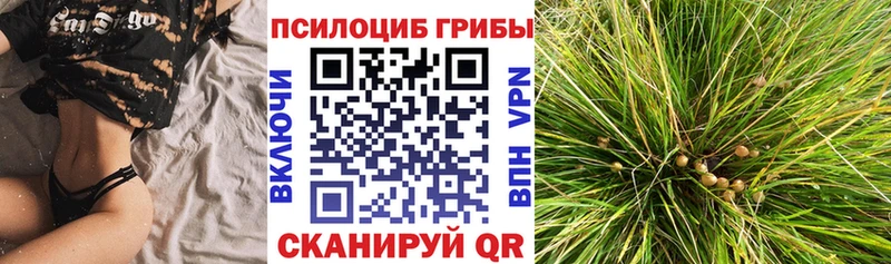 MEGA сайт  Карачаевск  Галлюциногенные грибы MAGIC MUSHROOMS 